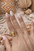 Anillo Coni